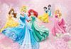 Disney Princess fotobehang Prinsessen