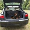 Grote foto automaterialen auto accessoires voor honden nu sale 35 dieren en toebehoren toebehoren