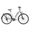 Qwic Urban RD9 dames e-bike