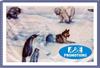 Grote foto sneeuwbal werp spel verhuur arctic 0599 416200 sport en fitness overige sport en fitness