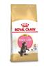 Royal canin kitten maine coon 4 KG