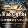 Blue Oyster Habitat Kit