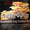 Golden Oyster Habitat Kit