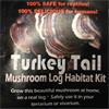 Turkey Tail Habitat Kit