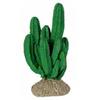 Ironwood Cactus 7x7x17cm