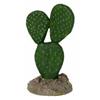 Mexican Elder Cactus 7x5x12cm