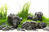 Grey Luo Hanshi 10-15cm - aquarium decoratie stenen
