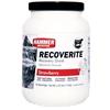 Hammer | Recoverite | Strawberry Pot : 16 servings