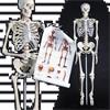 Prof levensgroot anatomiemodel skelet - geraamte anatomie