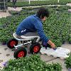 Grote foto zitwagen met massieve banden agrarisch tuinbouw