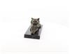 Bronzen beeld/sculptuur van een liggende kat