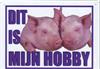 Hobby bordje met varkens