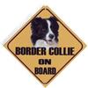 Autobordje Border Collie on board
