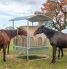 Grote foto vierkante paardenruif met veiligheidsvoerhekken 8 voerplaat dieren en toebehoren paarden accessoires