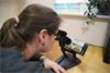 Cursus Visueel Screener (2 daagse opleiding)