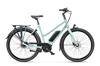 Batavus  Dinsdag elektrische fiets Exclusive 7V Turquoise