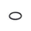 p6029-(Vervanger)O-ring voor Bestway filterpomp slangen, voo