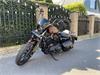 Harley-Davidson Sportster XR 1200 iron