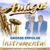 Amigos - Grosse Erfolge Instrumental - (CD)