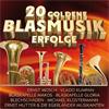 Divers - 20 Goldene Blasmusik-Erfolge - (CD)