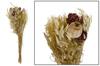 Droogbloemboeket Dried flower bouquet 60cm 100gr - Natural d