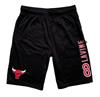 NBA Chicago Bulls Zach LaVine Short Zwart Kledingmaat : M