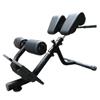 Technogym lower back bench | Hyper extension | Back extensio