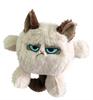 Grumpy cat kattenkop
