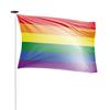 Regenboogvlag 100x150 cm (voor gevelstok)