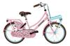 Popal  Daily Dutch Basic meisjesfiets 20 inch Mint Roze