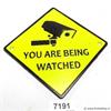Online Veiling: Schild you are being watched
