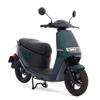 Ecooter E2 28Ah Elektrische Scooter (Groen) bij Central Scoo