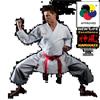 Phoenix KAMIKAZE KATA New Life Excellence WKF