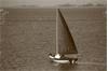 Grote foto houten scheepsmast. holle mast of rondhout op maat watersport en boten bootonderdelen