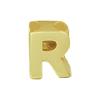 Letter Hanger R van 14K Geelgoud