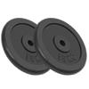 vidaXL Plaque de poids 2 pcs 2x15 kg Fonte