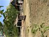 Grote foto hongarije luxe boerderij met paardenstallen huizen en kamers bestaand europa