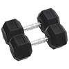 vidaXL Halters 2 st 25 kg gietijzer