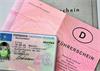 Grote foto id kaarten whatsapp 12762290077 tickets en kaartjes overige tickets en kaartjes