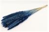Fluffy Pampas 70gr 75-80cm Donkerblauw Pampas gras in hoes D
