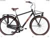 Giant Triple x Fietsen Gezocht 