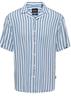 Wayne Like Viscose Shirt White Pastel Blue Kledingmaat : XS
