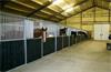 Grote foto voorwand tussenwand paardenbox wand dieren en toebehoren benodigdheden
