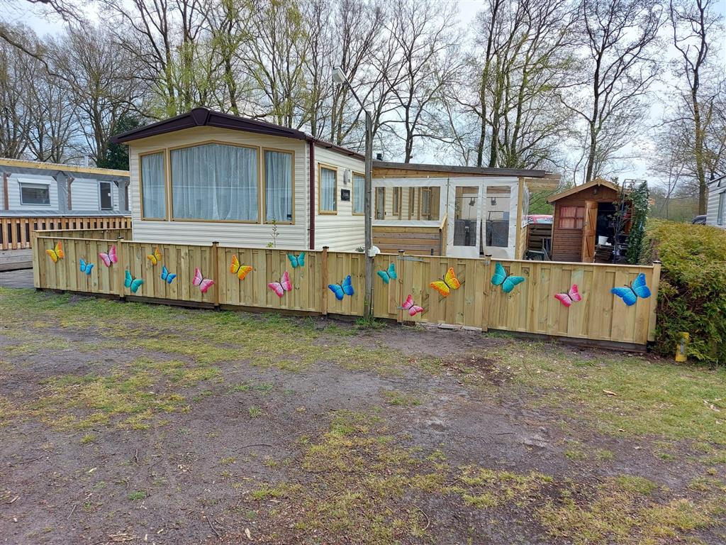 boten te koop marktplaats