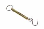 Salter brass pocket hanging 12 lbs scale | veerunster
