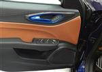 Alfa Romeo Giulia / Stelvio Carbon Fiber speaker frame