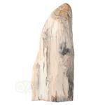 Versteend hout sculptuur nr 54 - 4595 gram
