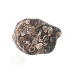 Turitella Agaat trommelsteen Nr 42 - 28 gram