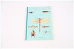 Vliegen, vissen en kunstvliegen - Paul Blokdijk | boek