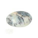 Dendriet Opaal - Agaat handsteen - Small Nr 31 - 21 gram